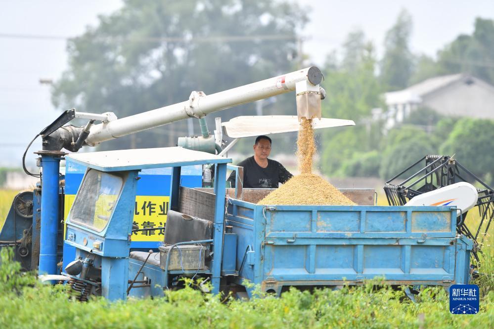 拉菲平台登录1
